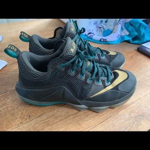 Nike Lebron James shoes
